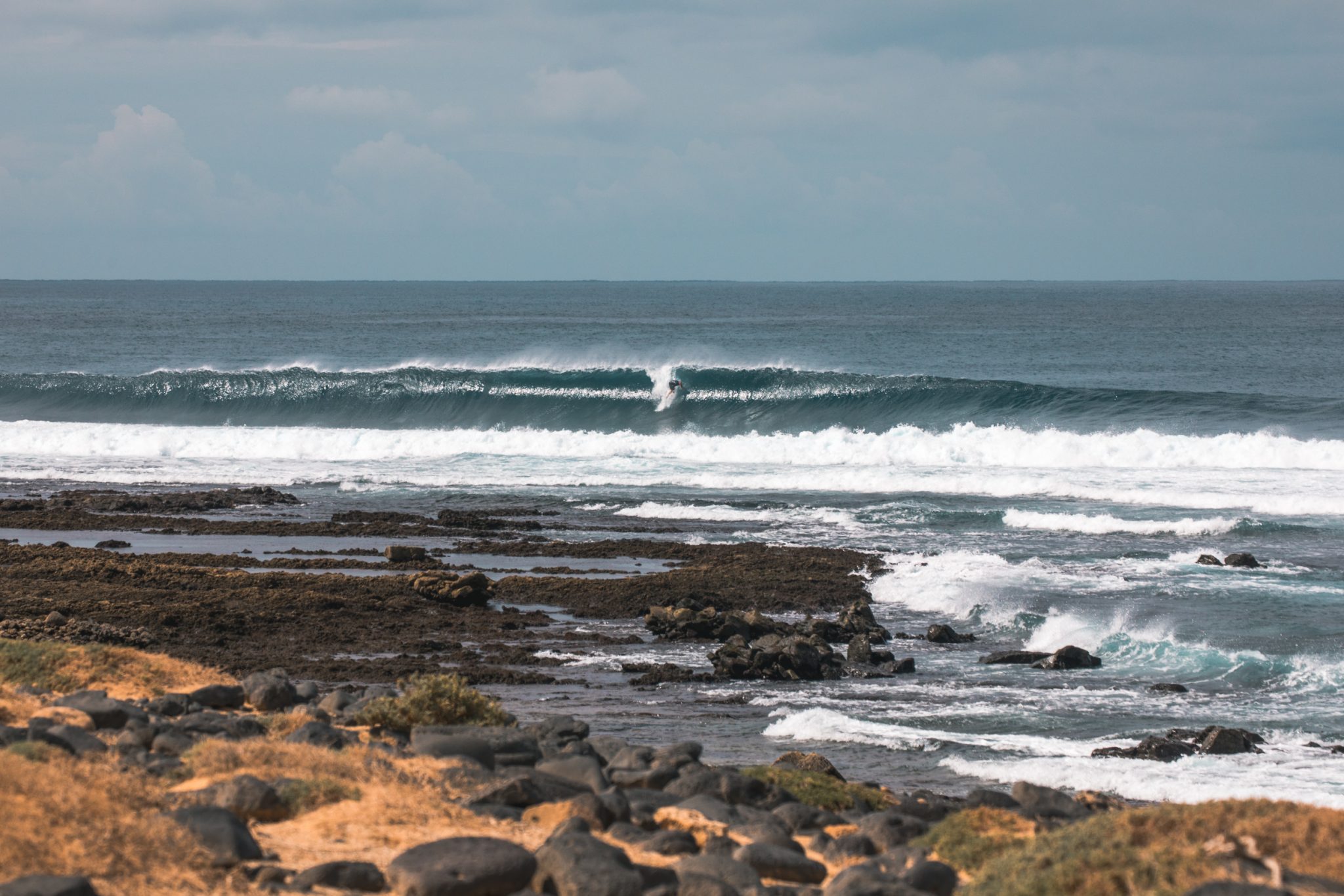 Los Lobos surf perfekt