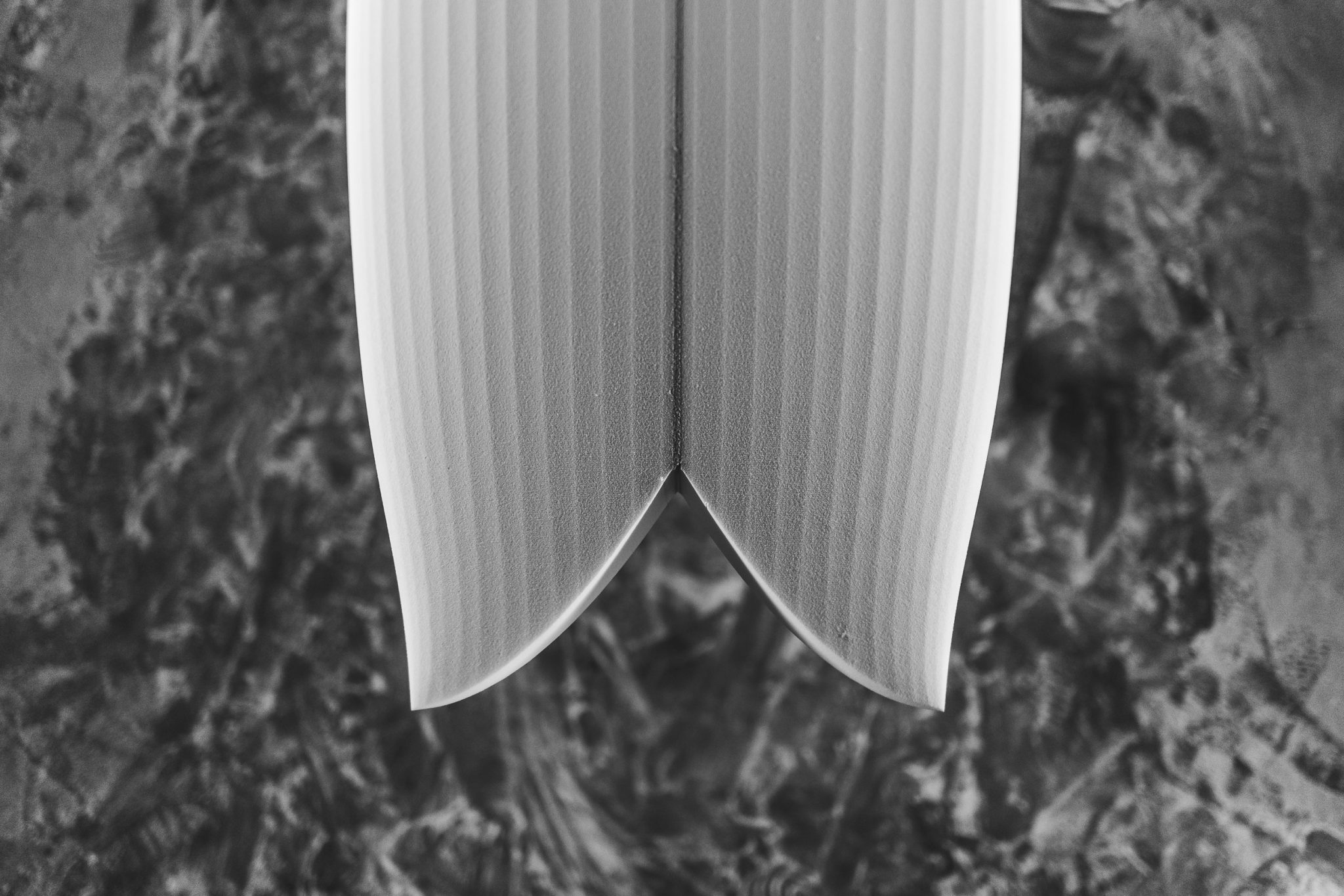 Tail: "das Ende (hinterer Teil) des Surfboards"