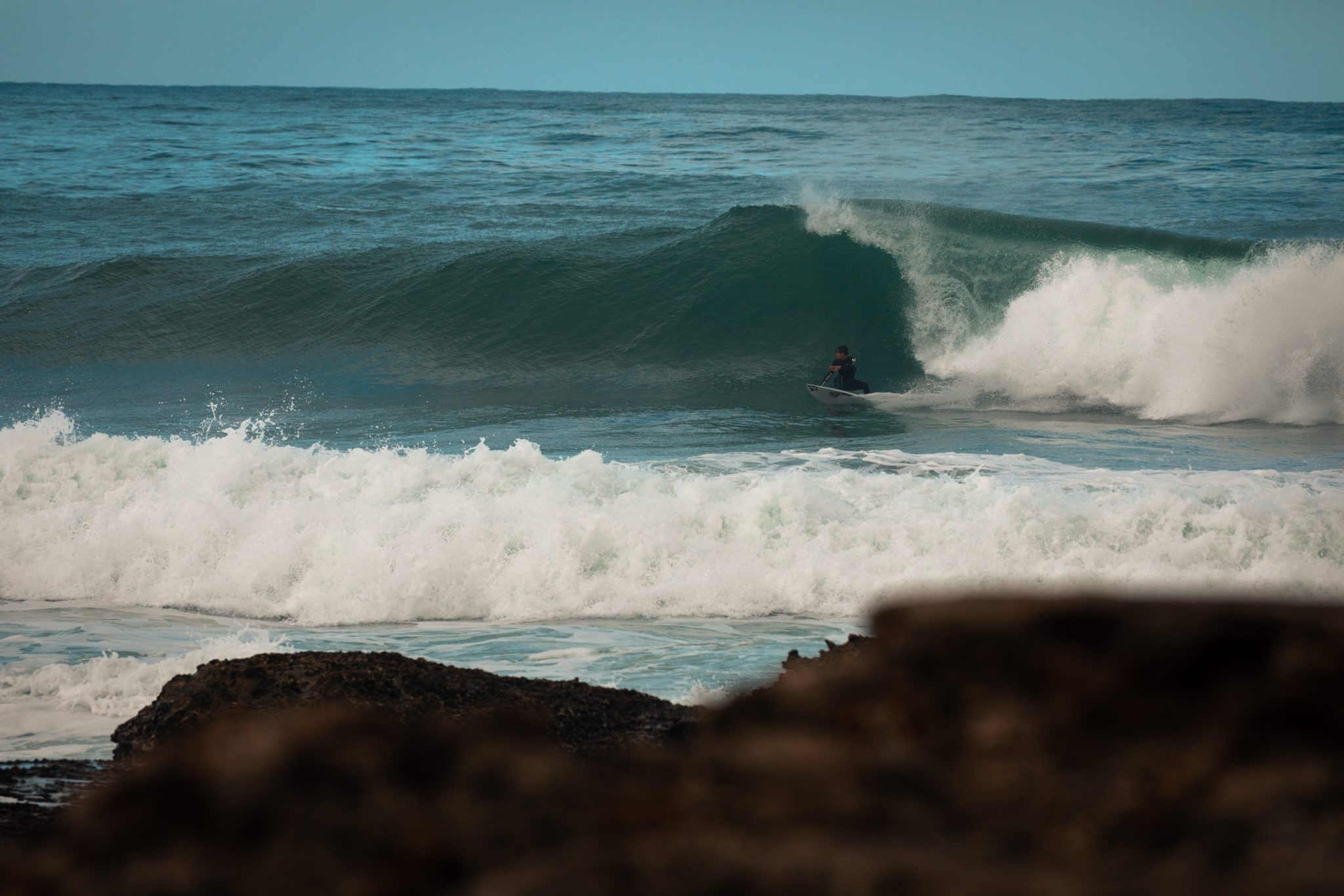 surfen in Arrifana, der Känguru ist on