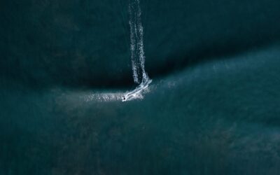 puresurfcamps-wellenreiten-frankreich-lifestyle-surf-johann-photography-bierd-view-blue wellenreiten