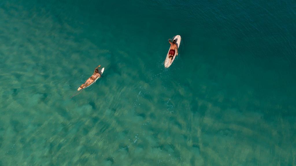 Surfguide