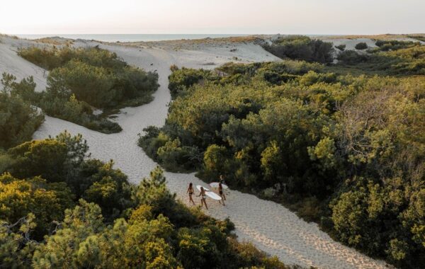 Surfcamps Frankreich Surfcamps Frankreich