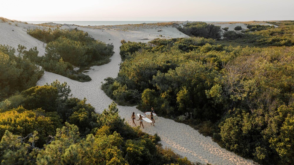 Surfcamps Frankreich