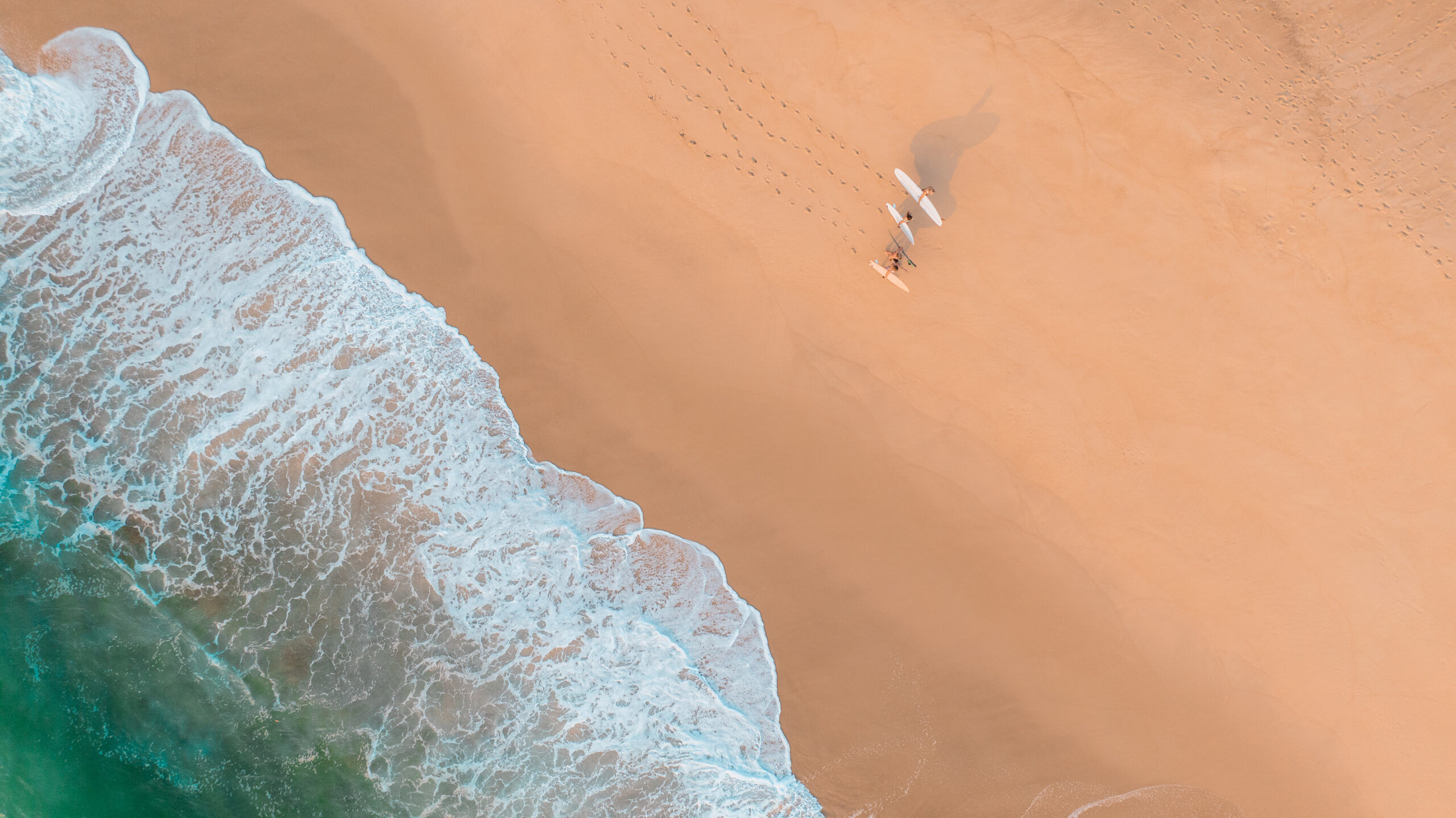 puresurfcamps_surfcamp_surfing_surflesson-0768 blank